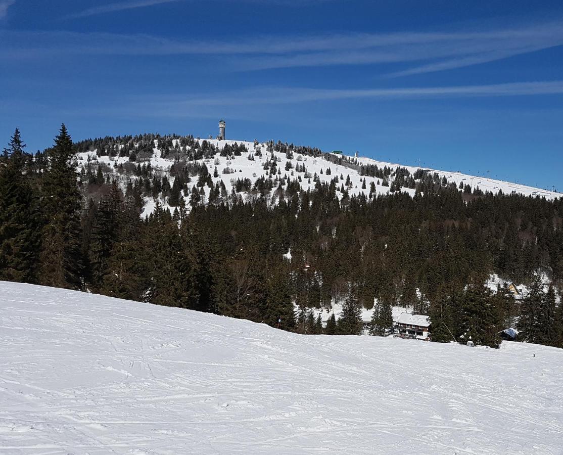 Enjoy Ferienwohnung Feldberg Grafenmatt Dış mekan fotoğraf
